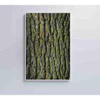 Quadro Tronco árvore 40x60 Cm Tecido Canvas - 1