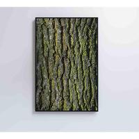 Quadro Tronco árvore 40x60 Cm Tecido Canvas - 6