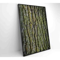 Quadro Tronco árvore 40x60 Cm Tecido Canvas - 7