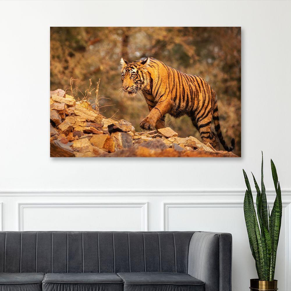 Quadro Tigre Nas Montanhas -- Br Artes - 2