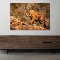 Quadro Tigre Nas Montanhas -- Br Artes - 4
