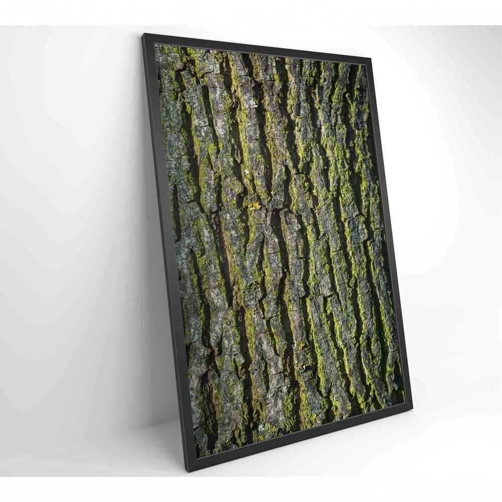 Quadro Tronco árvore 80x120 Cm Tecido Canvas - 5