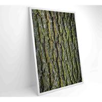 Quadro Tronco árvore 80x120 Cm Tecido Canvas - 15