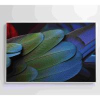 Quadro Penas Verdes 120x80 Cm Tecido Canvas