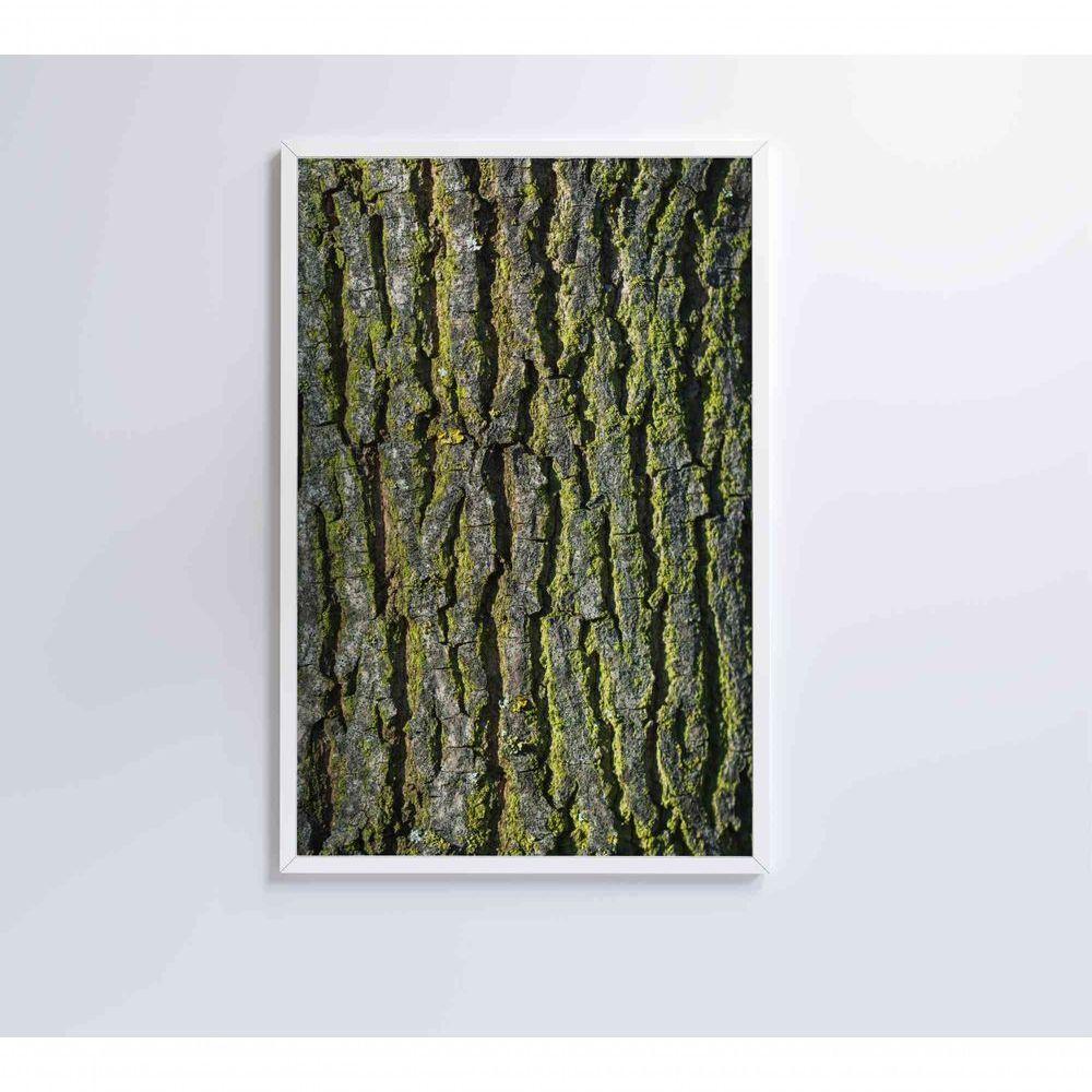 Quadro Tronco árvore 40x60 Cm Adesivo Fotográfico - 6