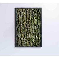 Quadro Tronco árvore 40x60 Cm Adesivo Fotográfico - 2