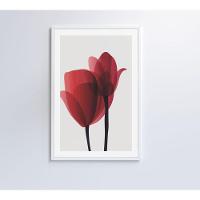 Quadro Pintura 2 Rosas 40x60 Cm Vidro Impresso - 5