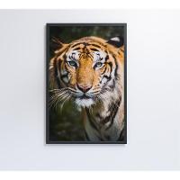Quadro Tigre 80x120 Cm Tecido Canvas - 5