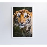 Quadro Tigre 80x120 Cm Tecido Canvas - 7