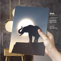 Elefante Na Savana - Quadro Ou Placa Com 4 Peças 6mm