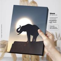 Elefante Na Savana - Quadro Ou Placa Com 4 Peças 15mm