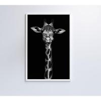 Quadro Girafa Preto E Branco 80x120 Cm Tecido Canvas - 6