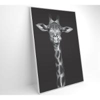 Quadro Girafa Preto E Branco 80x120 Cm Tecido Canvas - 8