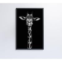 Quadro Girafa Preto E Branco 40x60 Cm Tecido Canvas - 5
