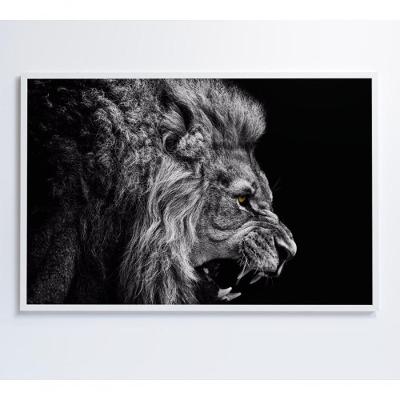 Quadro Leão Preto E Branco 60x40 Cm Adesivo Fotográfico