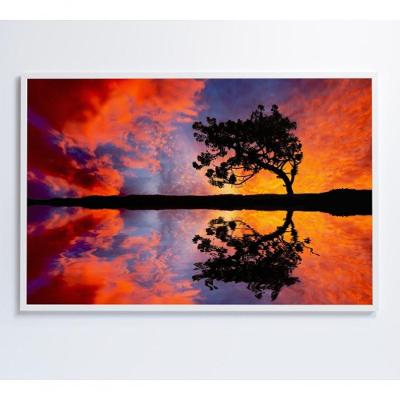 Quadro árvore Por Do Sol 90x60 Cm Tecido Canvas