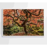 Quadro Sakura Rosa Outono 120x80 Cm Tecido Canvas - 2