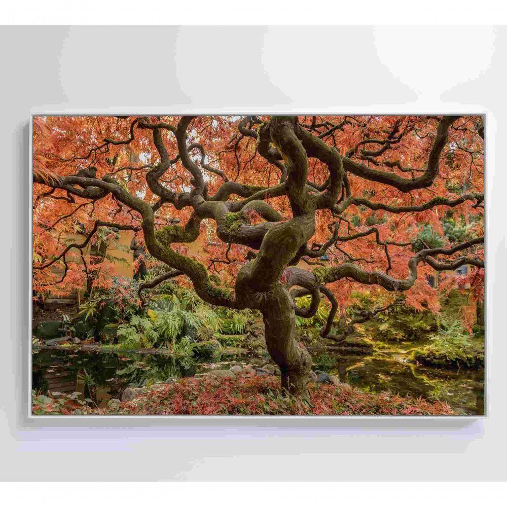 Quadro Sakura Rosa Outono 60x40 Cm Tecido Canvas - 4