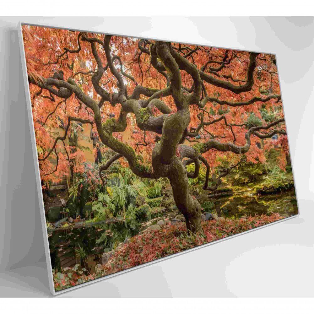 Quadro Sakura Rosa Outono 60x40 Cm Tecido Canvas - 7