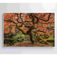 Quadro Sakura Rosa Outono 60x40 Cm Tecido Canvas