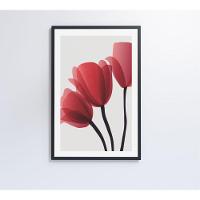 Quadro Pintura 3 Rosas 40x60 Cm Vidro Impresso