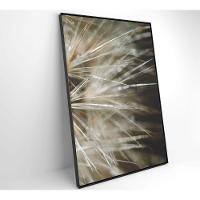 Quadro Dente De Leão Detalhe 40x60 Cm Tecido Canvas