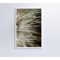 Quadro Dente De Leão Detalhe 40x60 Cm Tecido Canvas - 9