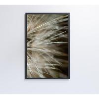 Quadro Dente De Leão Detalhe 40x60 Cm Tecido Canvas - 13