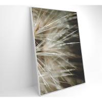 Quadro Dente De Leão Detalhe 40x60 Cm Tecido Canvas - 15