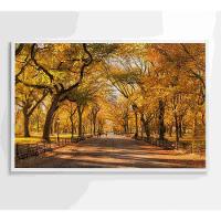 Quadro Central Park Outono 60x40 Cm Tecido Canvas - 1