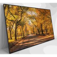 Quadro Central Park Outono 60x40 Cm Tecido Canvas - 3
