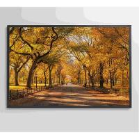 Quadro Central Park Outono 60x40 Cm Tecido Canvas - 6