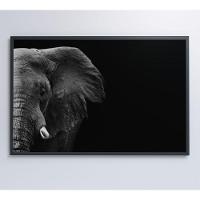 Quadro Elefante Preto E Branco 90x60 Cm Tecido Canvas