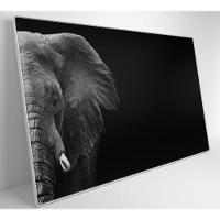 Quadro Elefante Preto E Branco 90x60 Cm Tecido Canvas - 6