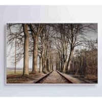 Quadro Trilhos 60x40 Cm Tecido Canvas - 14