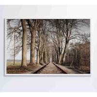 Quadro Trilhos 120x80 Cm Adesivo Fotográfico