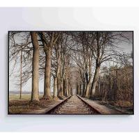 Quadro Trilhos 120x80 Cm Adesivo Fotográfico - 7