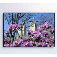 Quadro Flores Central Park 60x40 Cm Tecido Canvas - 2