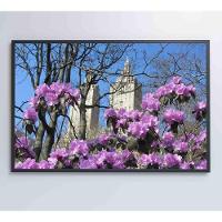 Quadro Flores Central Park 60x40 Cm Tecido Canvas - 3