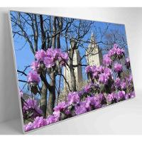 Quadro Flores Central Park 60x40 Cm Tecido Canvas - 5