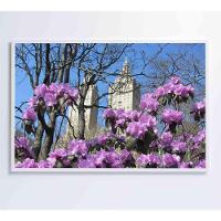 Quadro Flores Central Park 60x40 Cm Tecido Canvas - 6