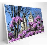 Quadro Flores Central Park 60x40 Cm Tecido Canvas - 7