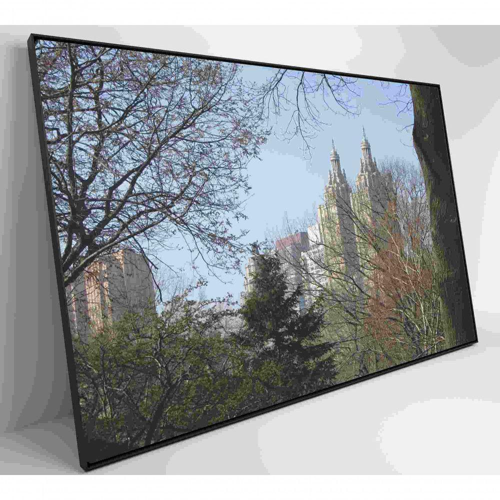Quadro árvores Central Park 60x40 Cm Tecido Canvas - 6