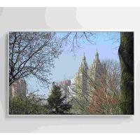 Quadro árvores Central Park 120x80 Cm Tecido Canvas