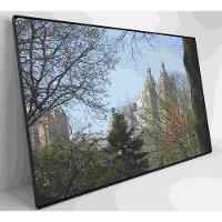 Quadro árvores Central Park 120x80 Cm Tecido Canvas - 6