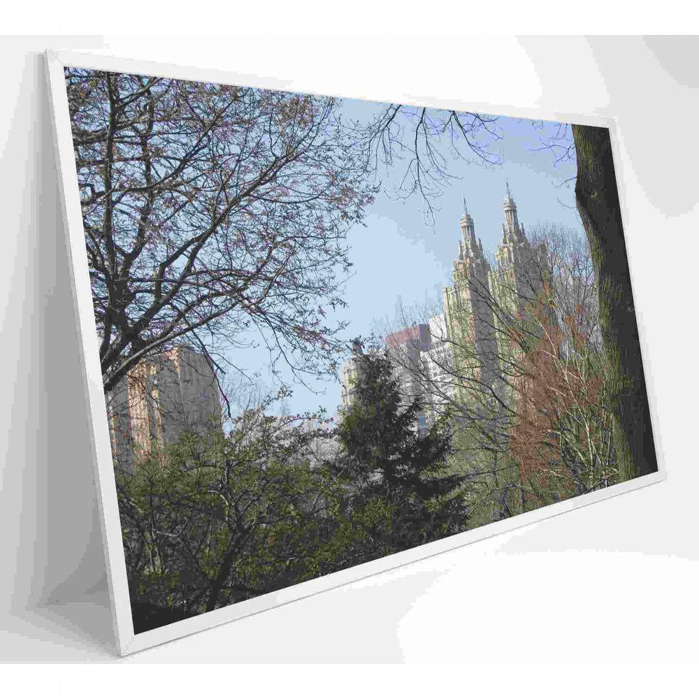 Quadro árvores Central Park 120x80 Cm Vidro Impresso - 2