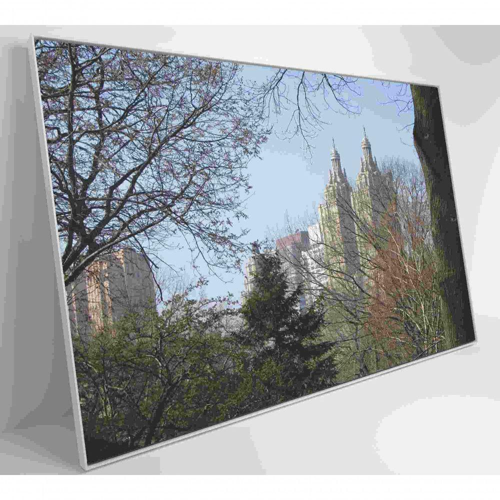 Quadro árvores Central Park 120x80 Cm Vidro Impresso - 7