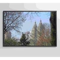 Quadro árvores Central Park 120x80 Cm Vidro Impresso - 9