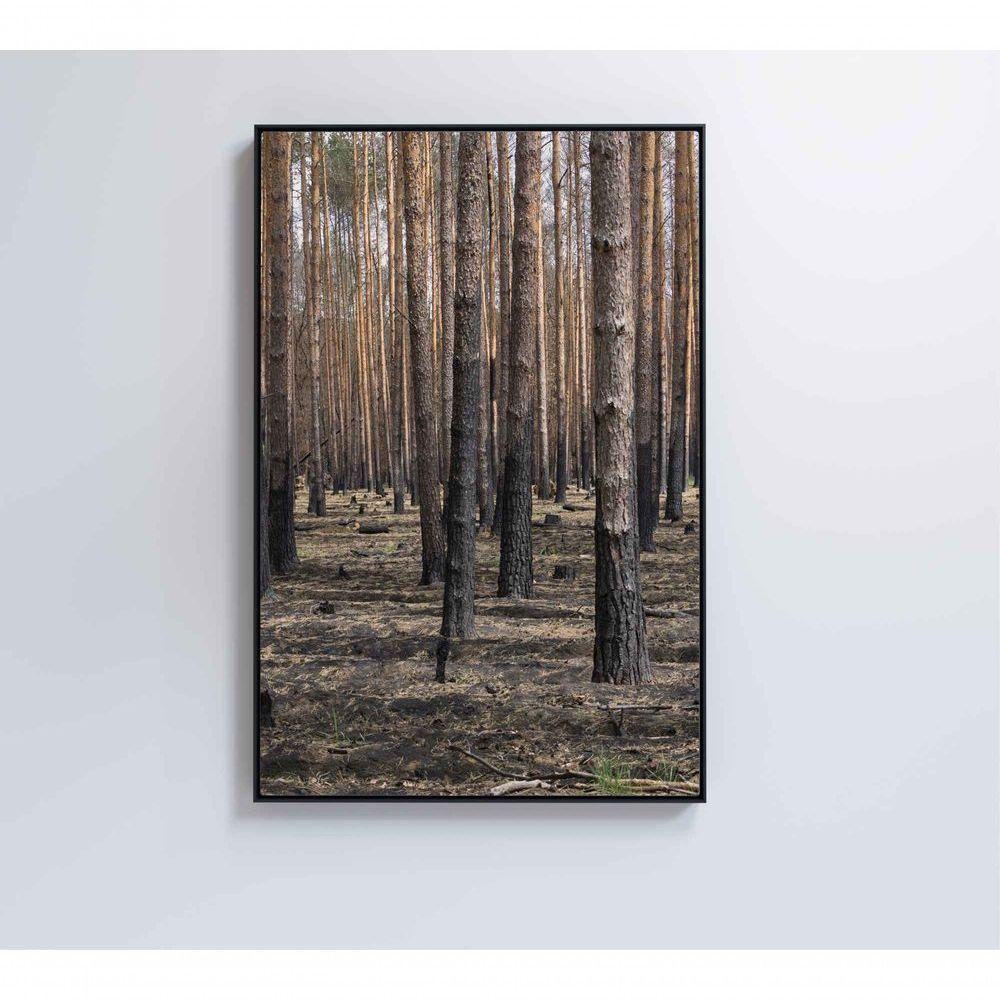 Quadro Eucaliptos 40x60 Cm Tecido Canvas - 3