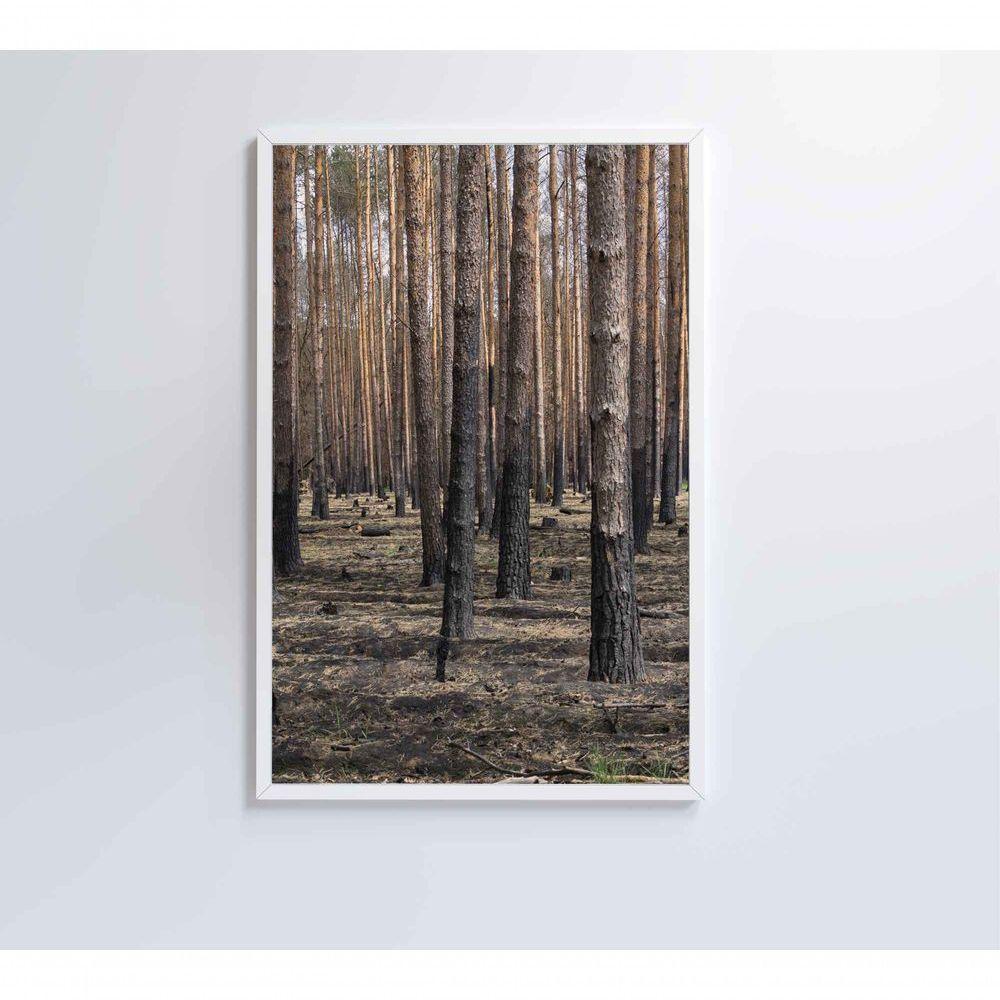 Quadro Eucaliptos 40x60 Cm Tecido Canvas - 5